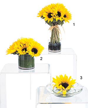 arranged sunflowers